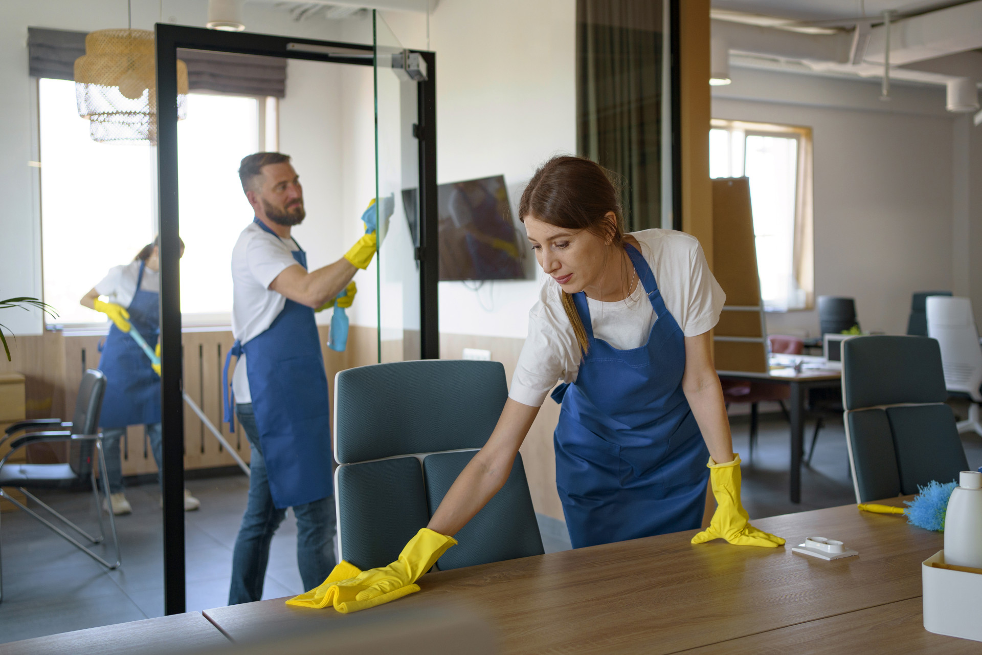 Cleaning professionals